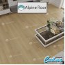 Клеевая Кварц-Виниловая LVT Плитка Alpinfloor Easy Line  Дуб Марципановый ЕСО-3-37
