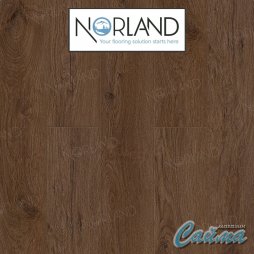 Клеевая (Виниловая) LVT-PVH Плитка Norland Sigrid LVT  Astrit-foto2