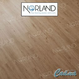 Клеевая (Виниловая) LVT-PVH Плитка Norland Sigrid LVT  Abbi-foto5