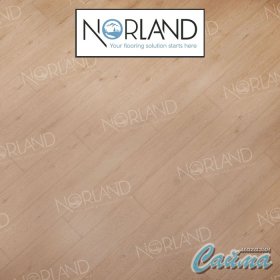 Клеевая (Виниловая) LVT-PVH Плитка Norland Sigrid LVT  Dor-foto5