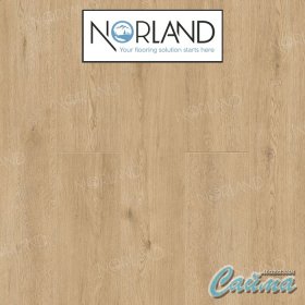 Клеевая (Виниловая) LVT-PVH Плитка Norland Sigrid LVT  Dor-foto2