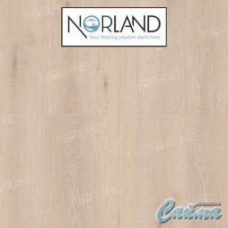 Клеевая (Виниловая) LVT-PVH Плитка Norland Sigrid LVT  Alante-foto2