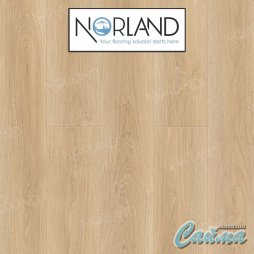 Клеевая (Виниловая) LVT-PVH Плитка Norland Sigrid LVT ECO 1003-6 Eli-foto6