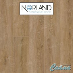 Клеевая (Виниловая) LVT-PVH Плитка Norland Sigrid LVT  Niky-foto2