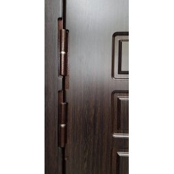 Входная Дверь Броня Х2 (X2)-foto6