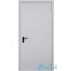 Техническая противопожарная дверь EI60 ДПМ 01 RAL 7035 - Фото №1