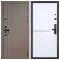Входная Дверь T-Doors (Е-Тайга) с Электронным замком 9 см 2 МДФ Бежевый клён/Эмалит Белый