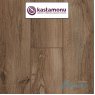 Ламинат Kastamonu Sunfloor (Кастамону Санфлор) 8/33 Дуб Берлин SF60