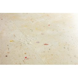 Ламинат Quick-Step Muse Ultra Цветочный Бетон MUU5494-foto3