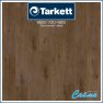 Ламинат Tarkett Odyssey 933 Дуб Родос