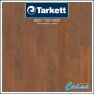 Ламинат Tarkett Woodstock Family 833 Дуб Шервуд Медовый