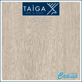 Ламинат Taiga Первая Уральская Дуб Золотой