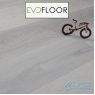 SPC ламинат Evofloor Optima Click Дуб Снежный