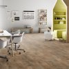 Moduleo Roots 55 EIR Dry Back Country Oak 54852 - Клеевая ПВХ-плитка - Фото №2 Moduleo Roots 55 EIR Dry Back Country Oak 54852 - Клеевая ПВХ-плитка - Фото №2
