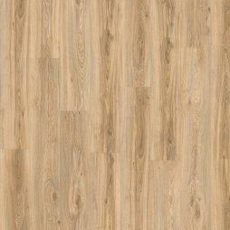 Moduleo Roots 55 Dry Back Blackjack Oak 22220 - Клеевая ПВХ-плитка Moduleo Roots 55 Dry Back Blackjack Oak 22220 - Клеевая ПВХ-плитка