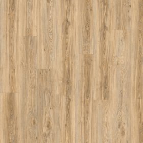Moduleo Roots 55 Dry Back Blackjack Oak 22220 - Клеевая ПВХ-плитка Moduleo Roots 55 Dry Back Blackjack Oak 22220 - Клеевая ПВХ-плитка