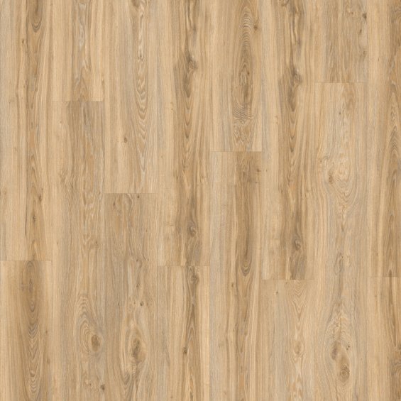 Moduleo Roots 55 Dry Back Blackjack Oak 22220 - Клеевая ПВХ-плитка Moduleo Roots 55 Dry Back Blackjack Oak 22220 - Клеевая ПВХ-плитка