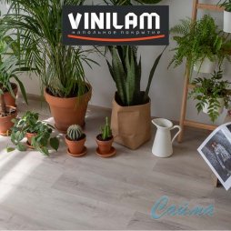 Дуб Ален (Rich) 20468 Клеевая (Виниловая) LVT-PVH Плитка VINILAM-foto2
