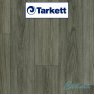 Линолеум Tarkett Force Norman.2 (Норман.2)