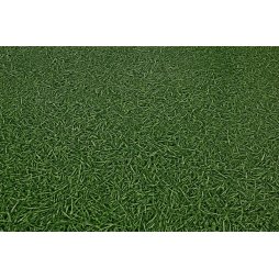 Линолеум IVC Bingo Grass 25 (Трава)-foto3