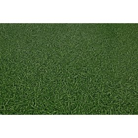 Линолеум IVC Bingo Grass 25 (Трава)-foto3