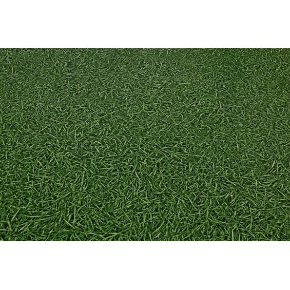 Линолеум IVC Bingo Grass 25 (Трава)