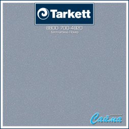 Линолеум Tarkett ACCZENT PRO Aspect 10 (Аспект 10)