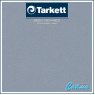 Линолеум Tarkett ACCZENT PRO Aspect 10 (Аспект 10)