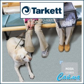 Линолеум Tarkett MODA 121603 (мода)-foto2