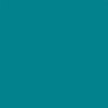 Линолеум OMNISPORTS ACTION 65 TEAL - Фото №1