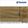 Плинтус Tarkett SD 60 - 206 ALPINE OAK
