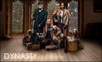 Ламинат Таркетт DYNASTY