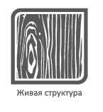 Живая структура